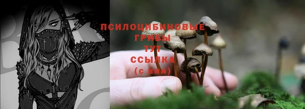 шишки Нязепетровск