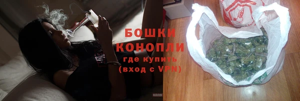 шишки Нязепетровск