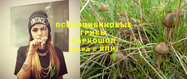 шишки Нязепетровск