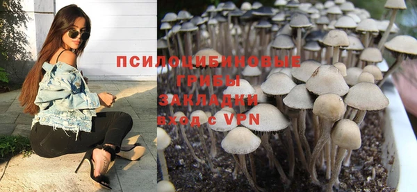 PSILOCYBIN Няндома