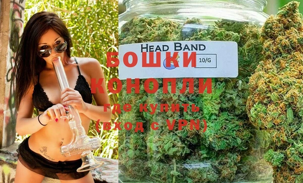 spice Аркадак